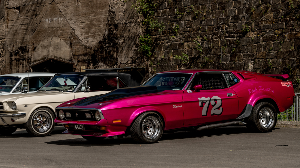 DSC_1445.JPG