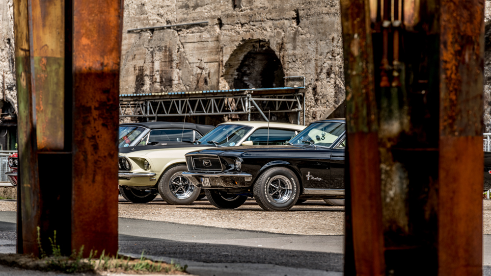 DSC_1463.JPG