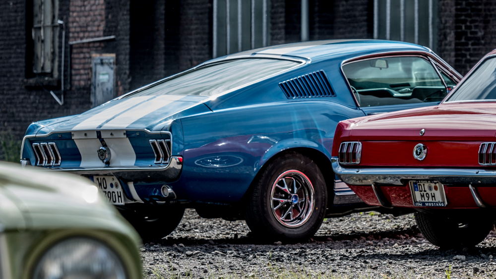 DSC_1468-2.JPG