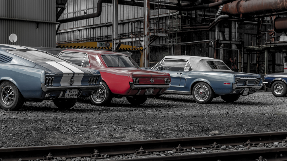 DSC_1498.JPG
