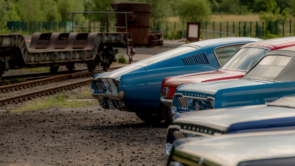 DSC_1513.JPG