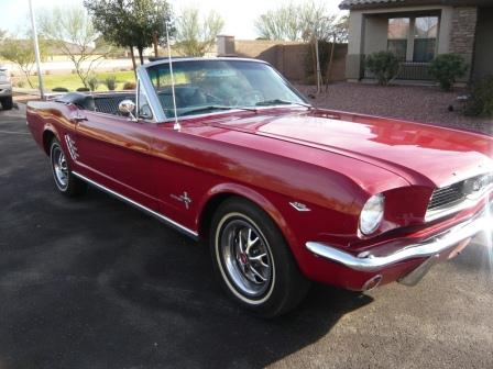 Mustang1.jpg