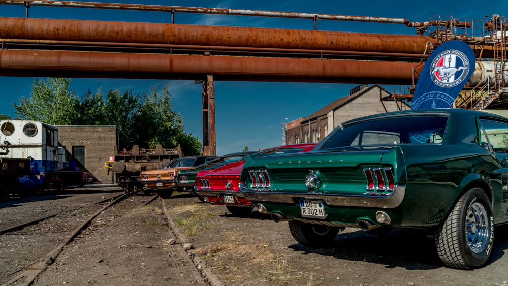 DSC_1969.JPG