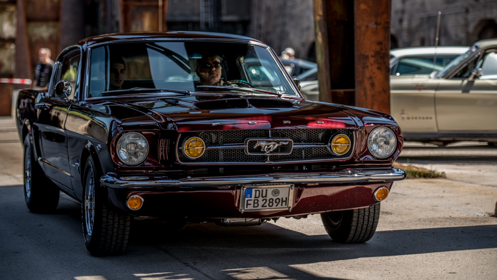 DSC_2304.JPG