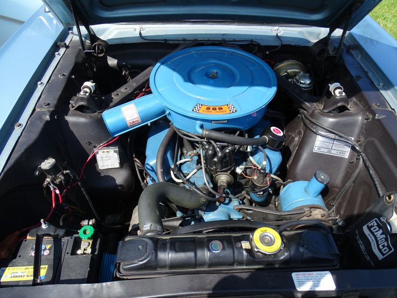 Dsc02474_mini.jpg