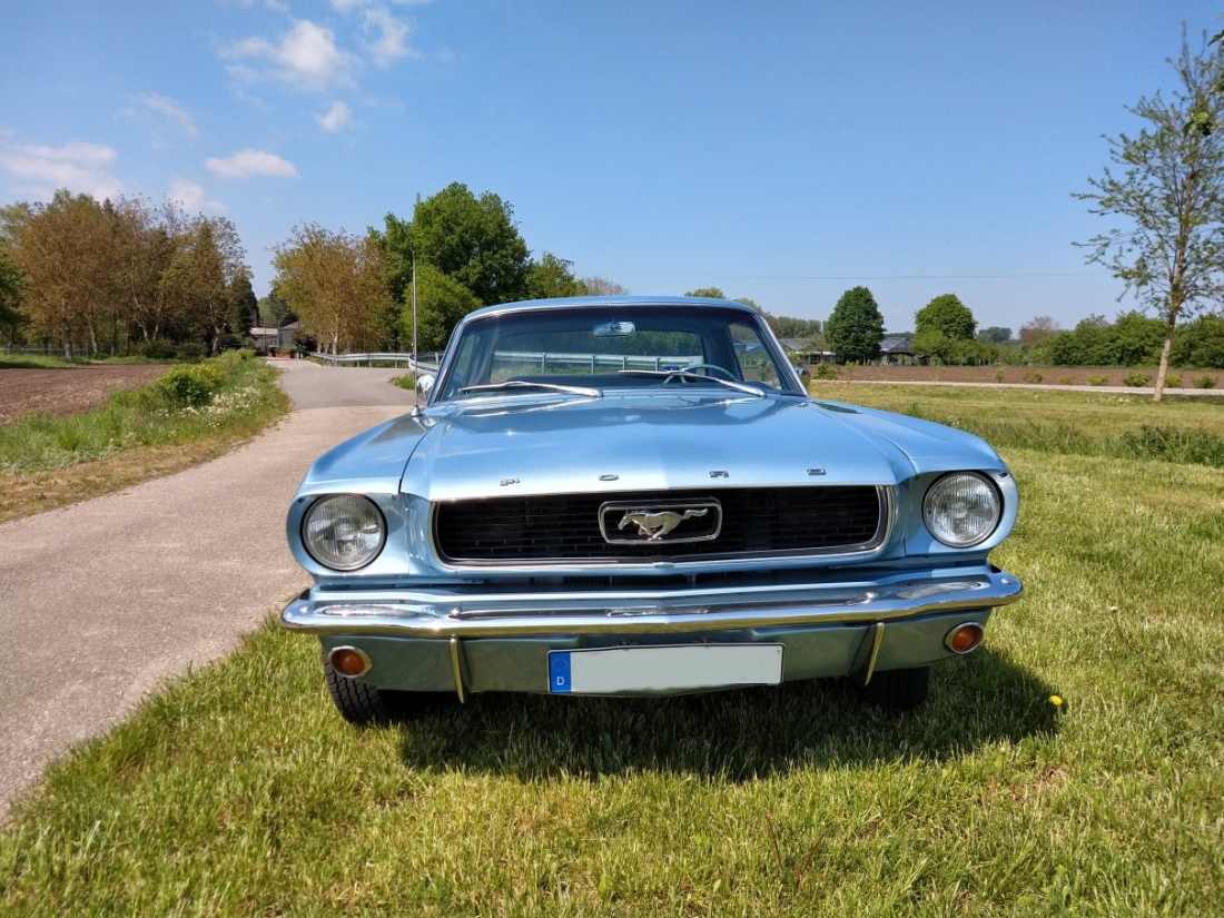 IMG_20190430_142718477_mini.jpg