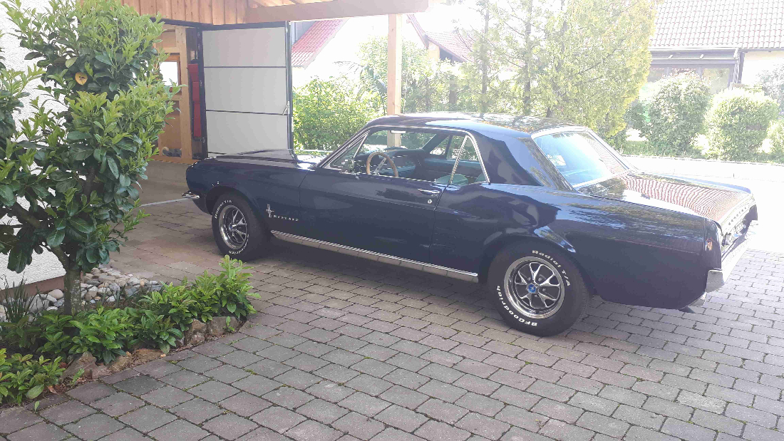 Mustang3.jpg