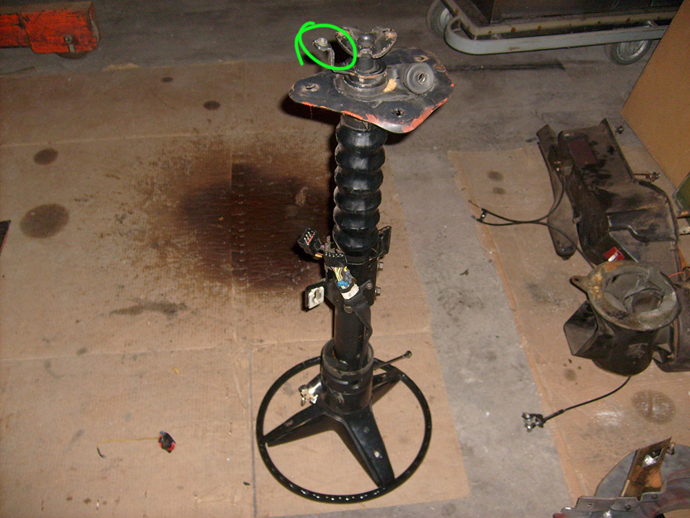 S6302051.jpg