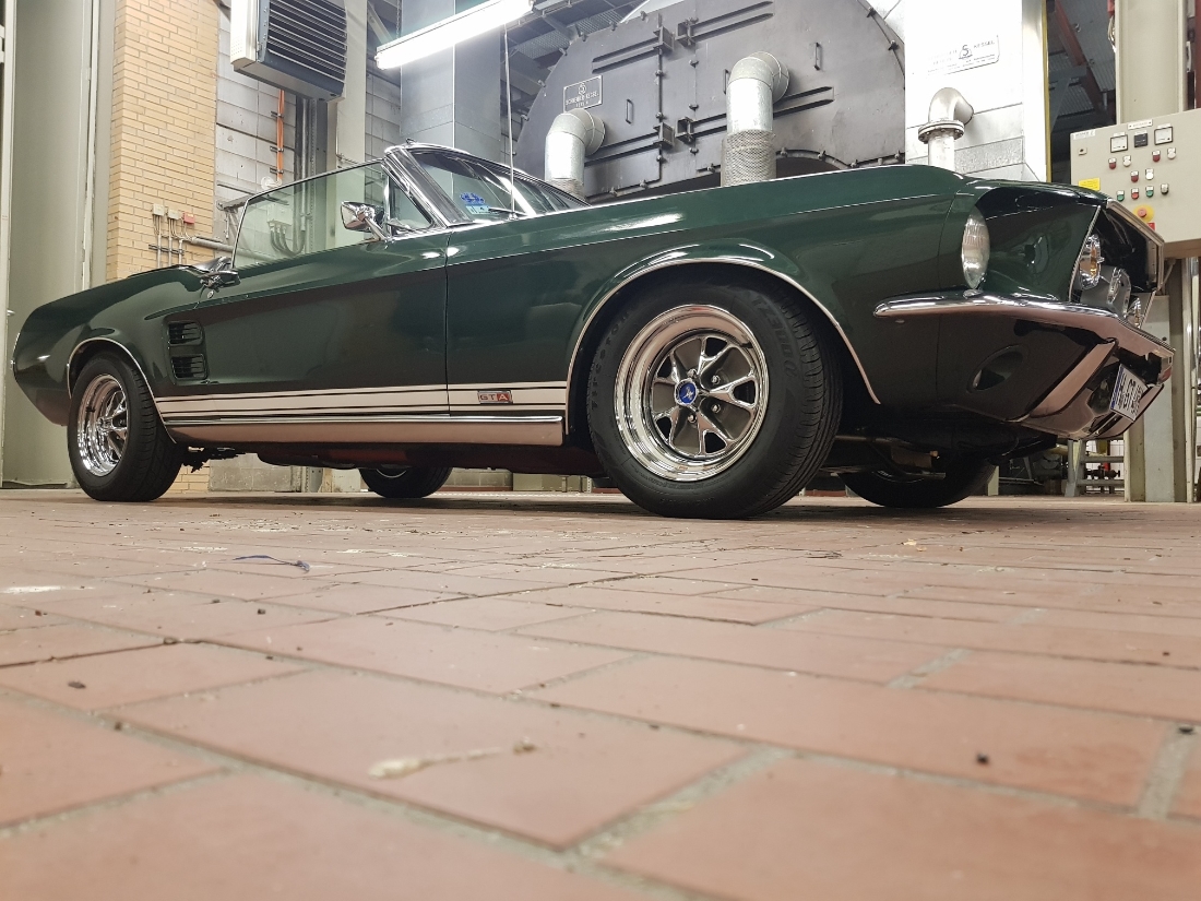 20190910_235117_resized.jpg