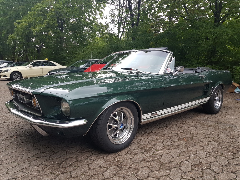20190818_181718_resized.jpg