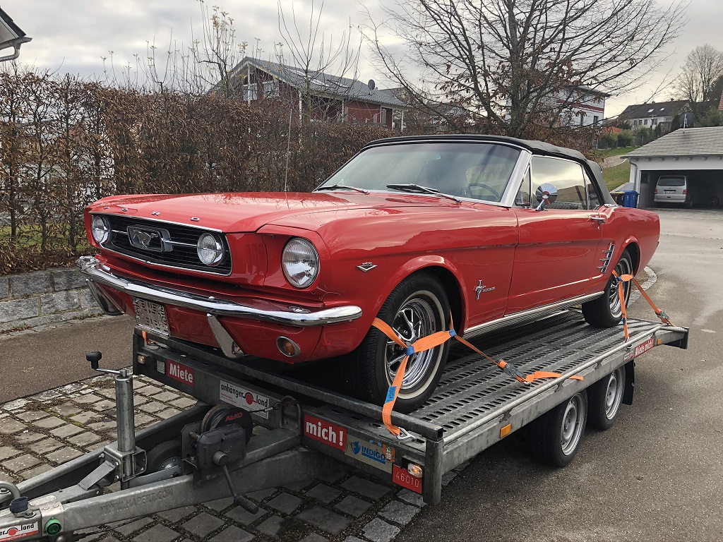 MUSTANG 1.JPEG