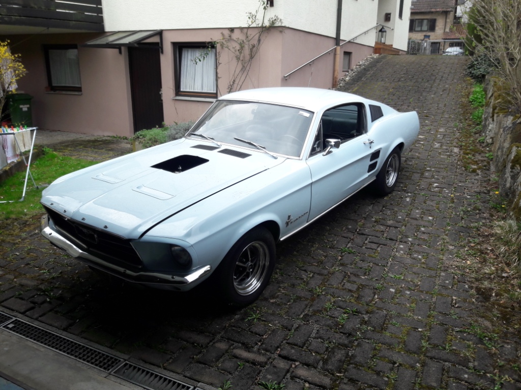 20190406_124102.jpg