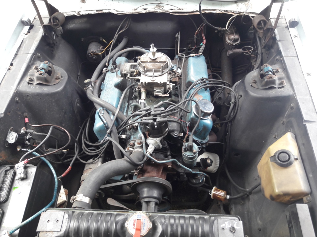 20190406_124706.jpg
