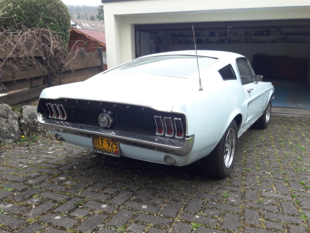 20190406_124032.jpg