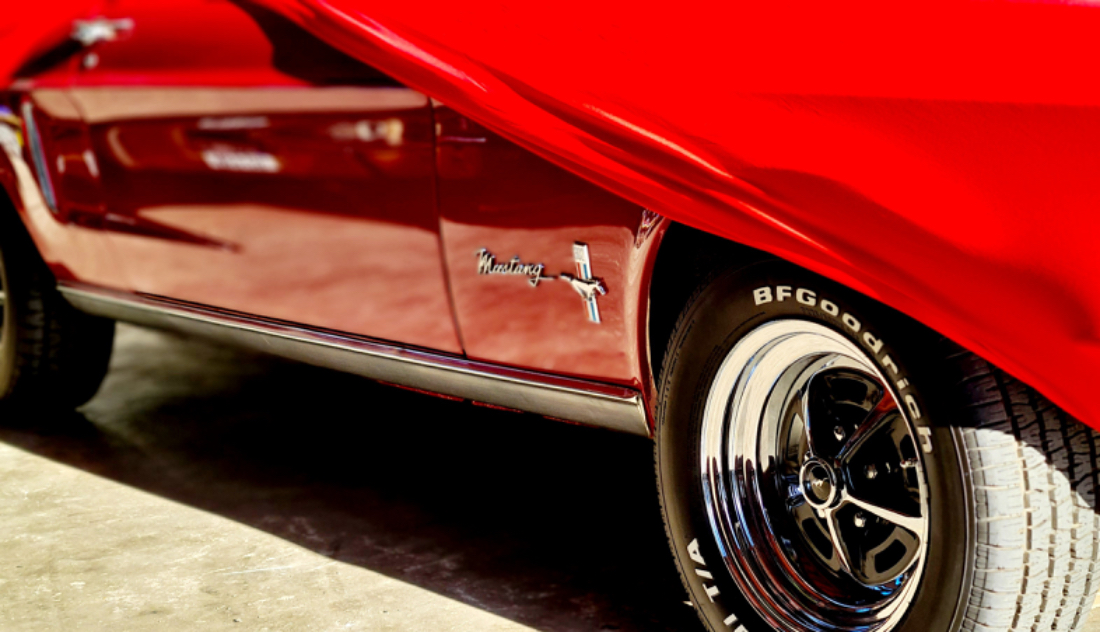 310A7520-C785-47E0-926A-2C6477D8947F.jpeg