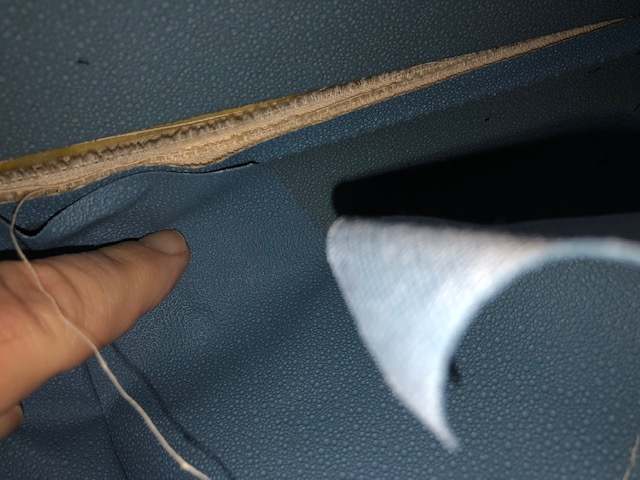 1968medblueheadliner.jpg
