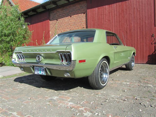 Mustang 68 Heck Matze.jpg