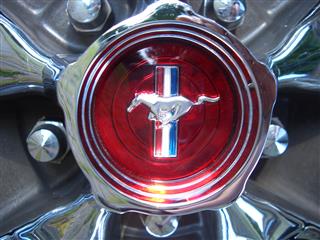 CIMG7425 (Mobil).JPG