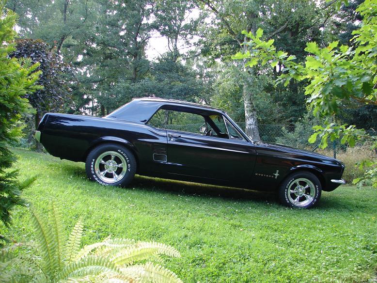 Mustang_119.JPG