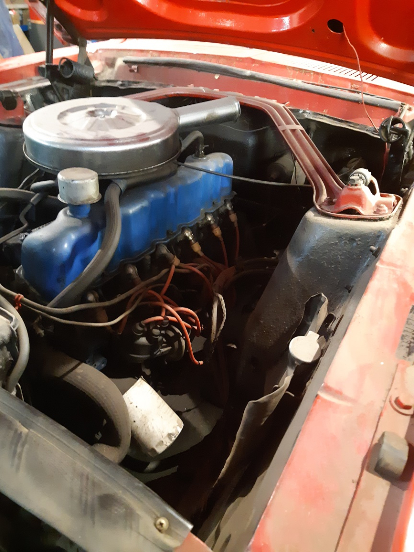 20201017_130406.jpg