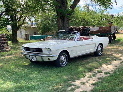stang_garten1.jpg