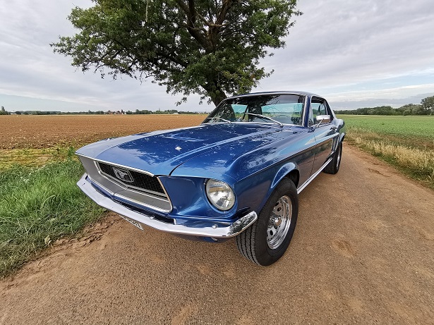Mustang Frontaufnahme