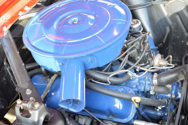 DSC_0576 (800x532).jpg