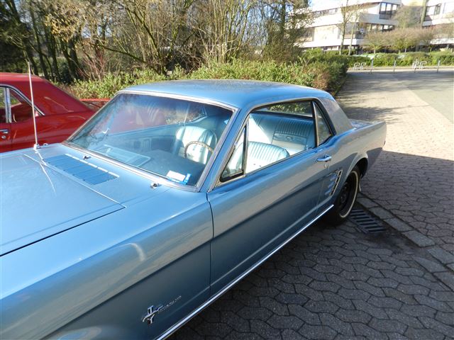 DSCN4100.jpg