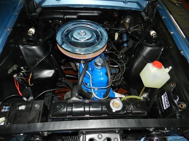 DSCN3986.jpg
