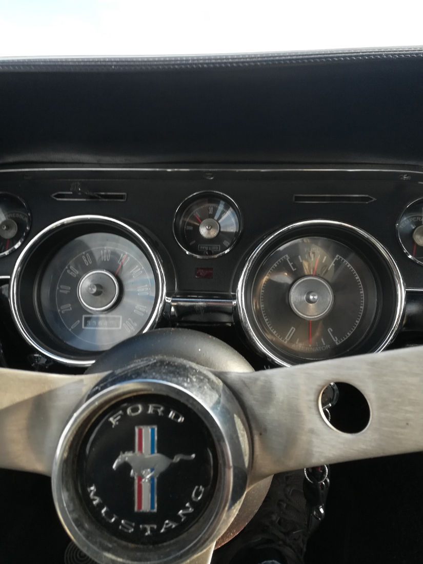IMG_20210328_172053[1].jpg