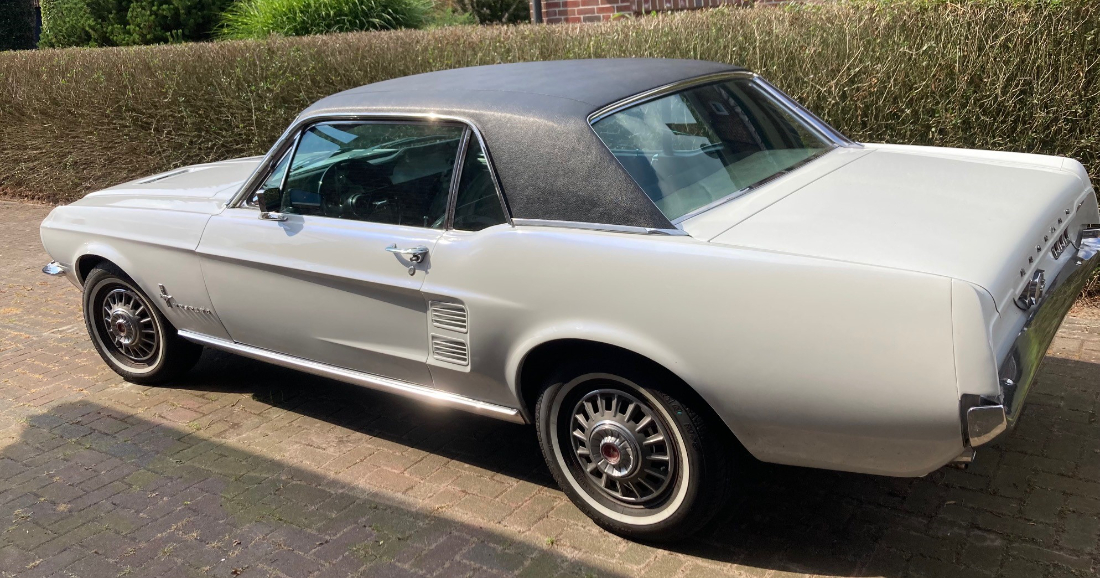 mustang.jpg