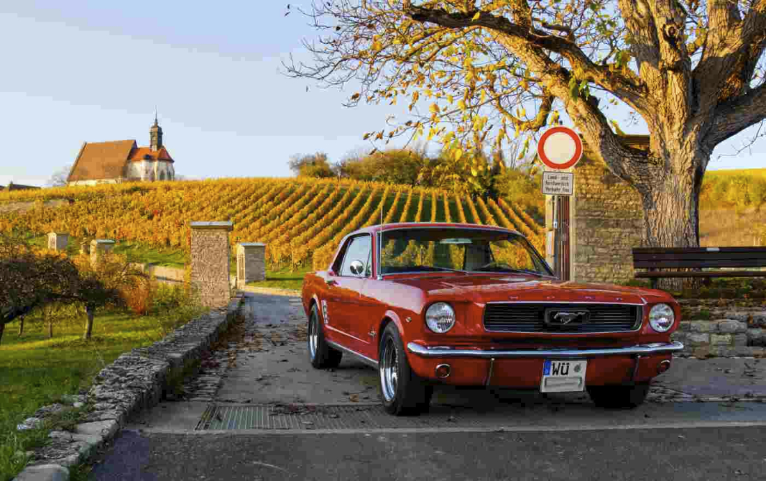 Mustang01.jpg