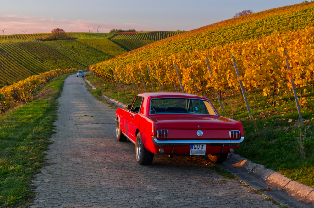 Mustang03.jpg
