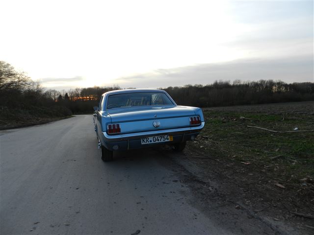 DSCN4175.jpg