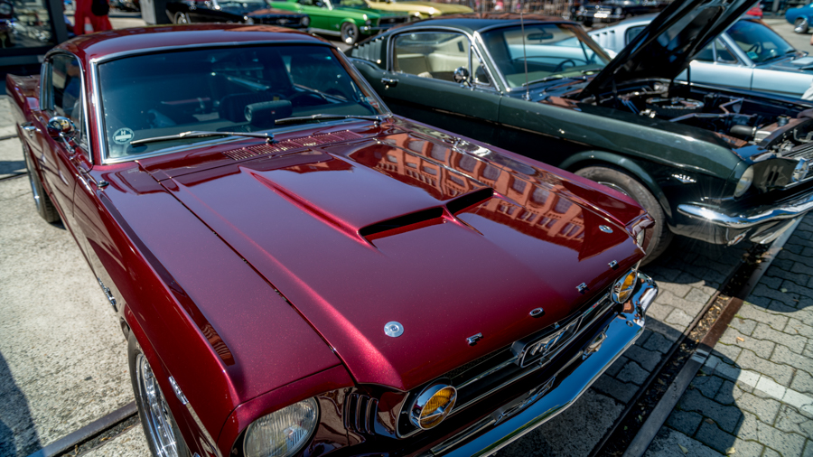 _DSC4153.JPG