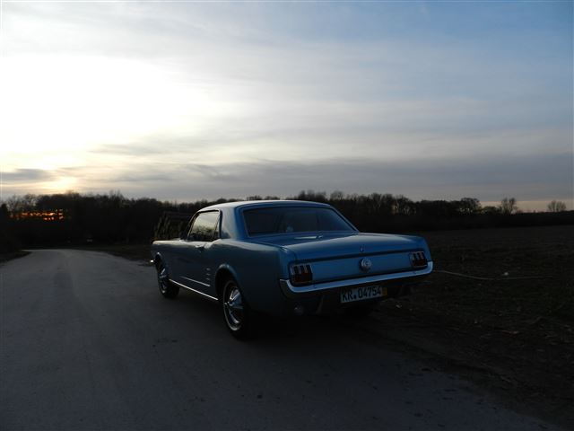 DSCN4174.jpg