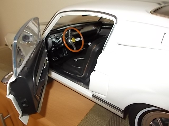 DSCN0009.JPG