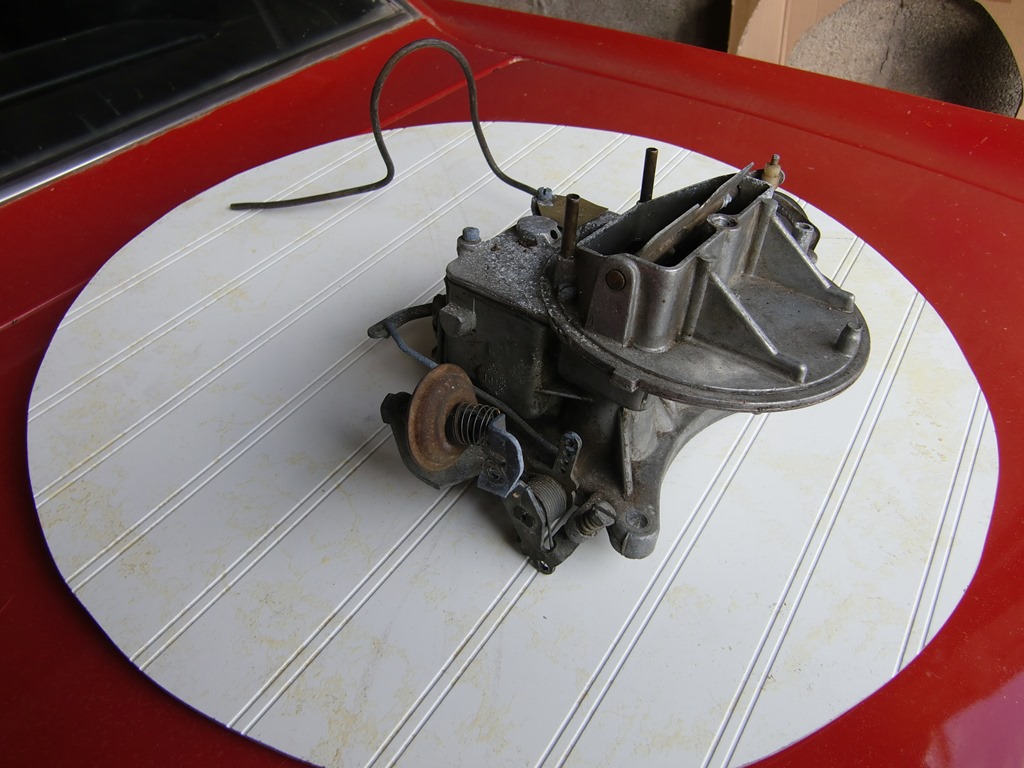 CIMG8769.JPG