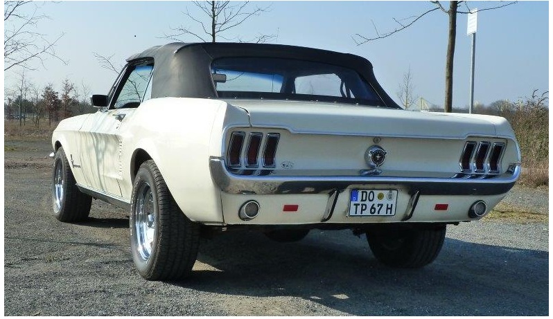 Mustang1.jpg