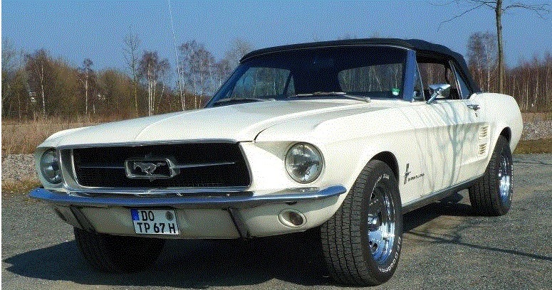 mustang2.jpg