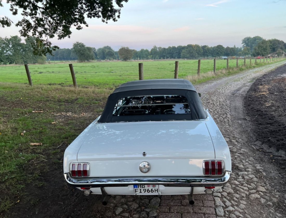 Mustang_66_02.JPG
