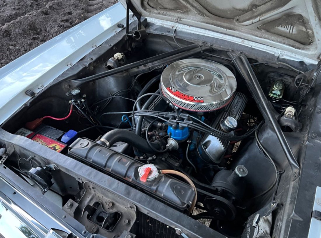 Mustang_66_03.JPG