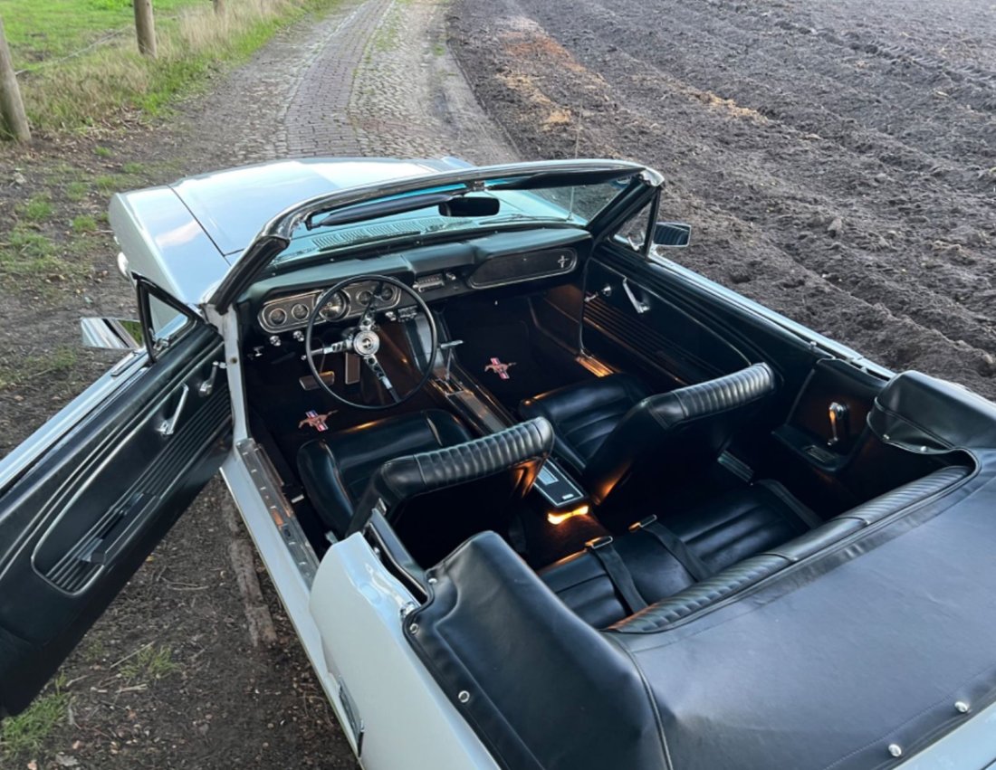 Mustang_66_04.JPG