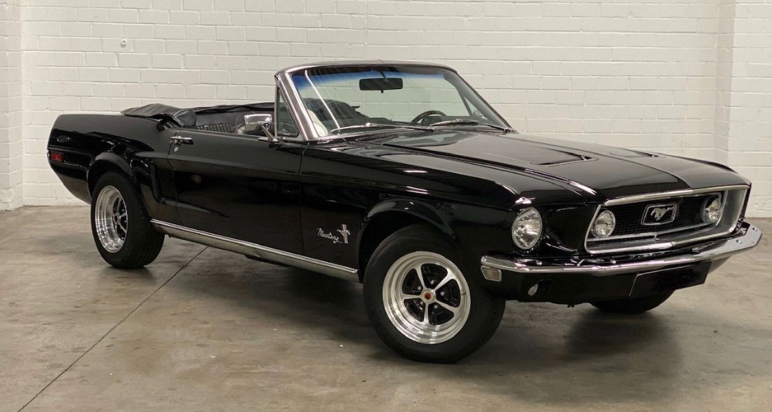 Mustang 1.jpg