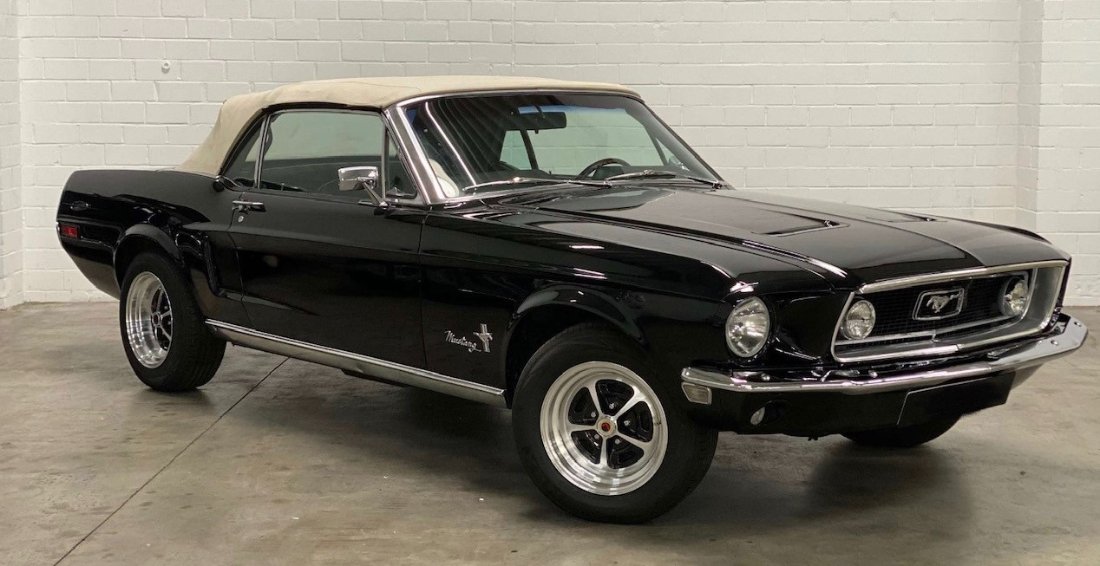Mustang 2.jpg