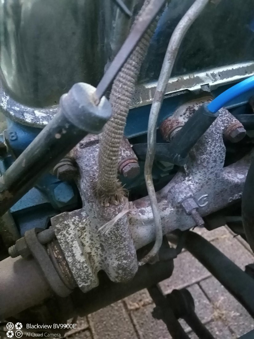 IMG_20221111_165901 (1).jpg