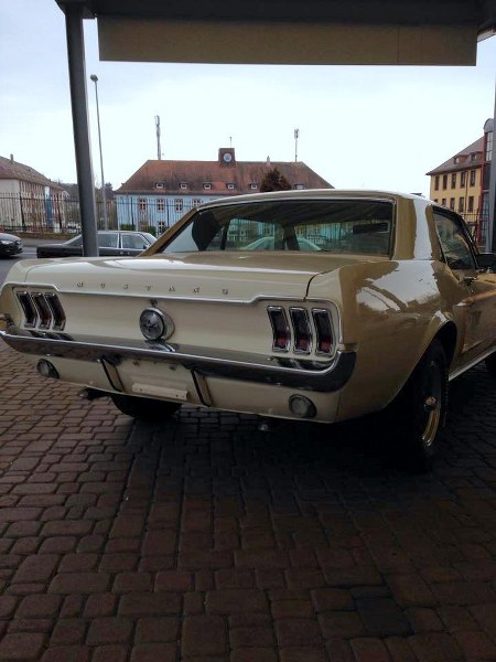 1958574_662476230480212_1385269036_n_450x600.jpg