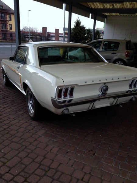 1959779_662476193813549_1576913389_n_450x600.jpg