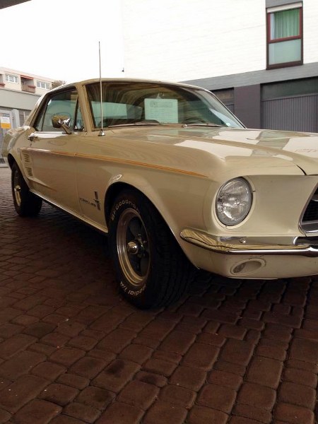 1965002_662476127146889_2127998094_n_450x600.jpg