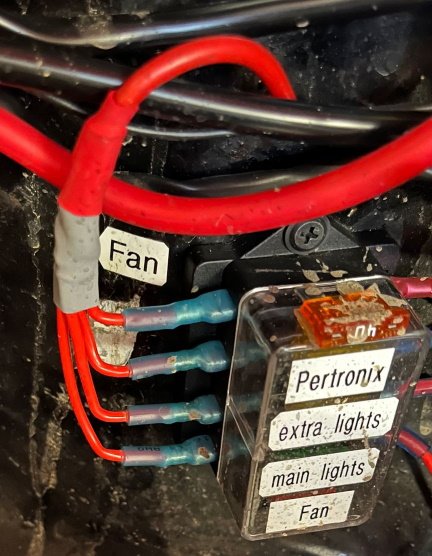 Y-Kabel.jpg